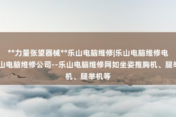 **力量张望器械**乐山电脑维修|乐山电脑维修电话|乐山电脑维修公司--乐山电脑维修网如坐姿推胸机、腿举机等